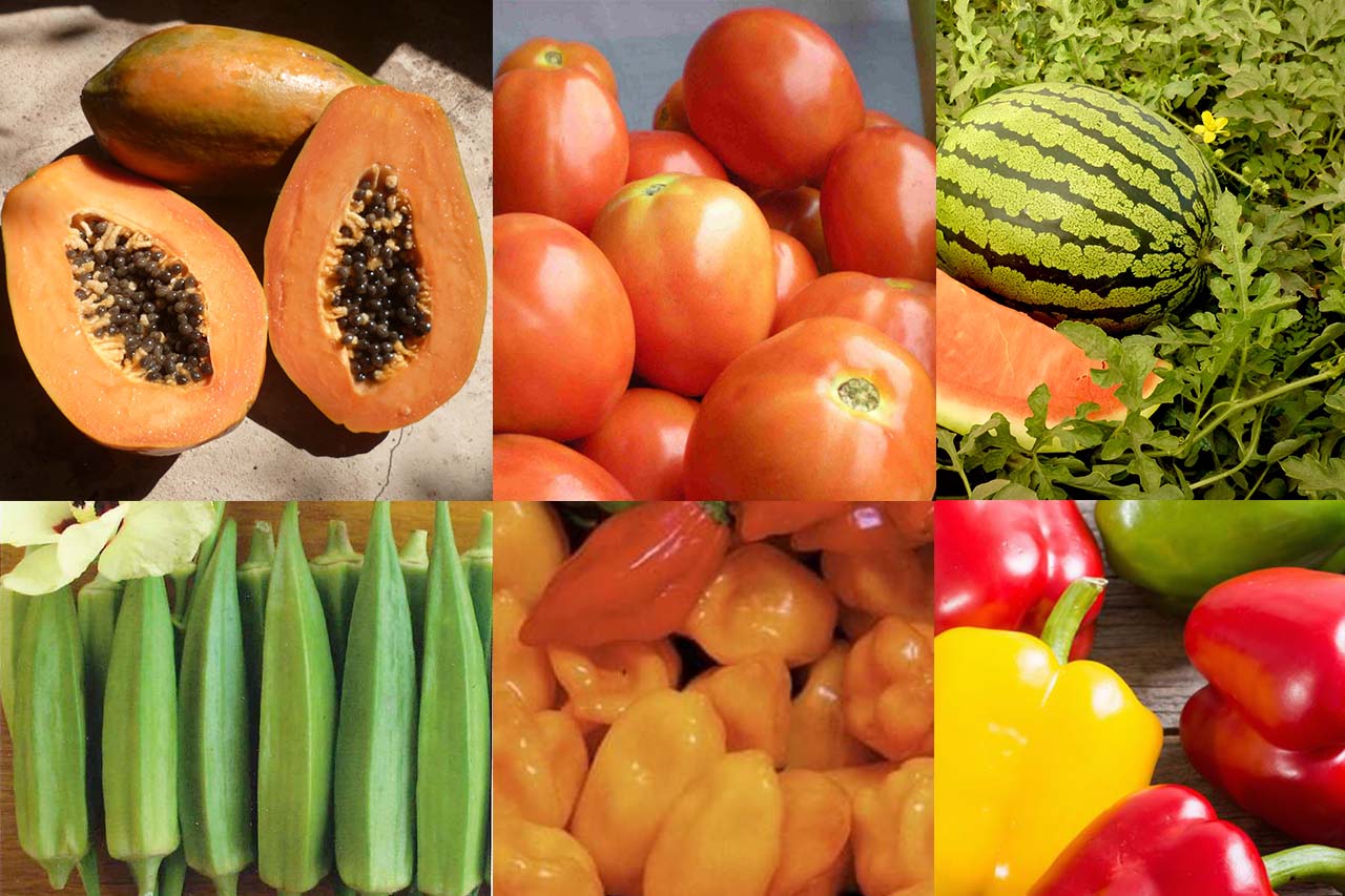 Légumes fruits